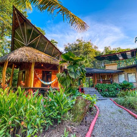 Tree House Beachfront Lodge Puerto Viejo de Talamanca Εξωτερικό φωτογραφία