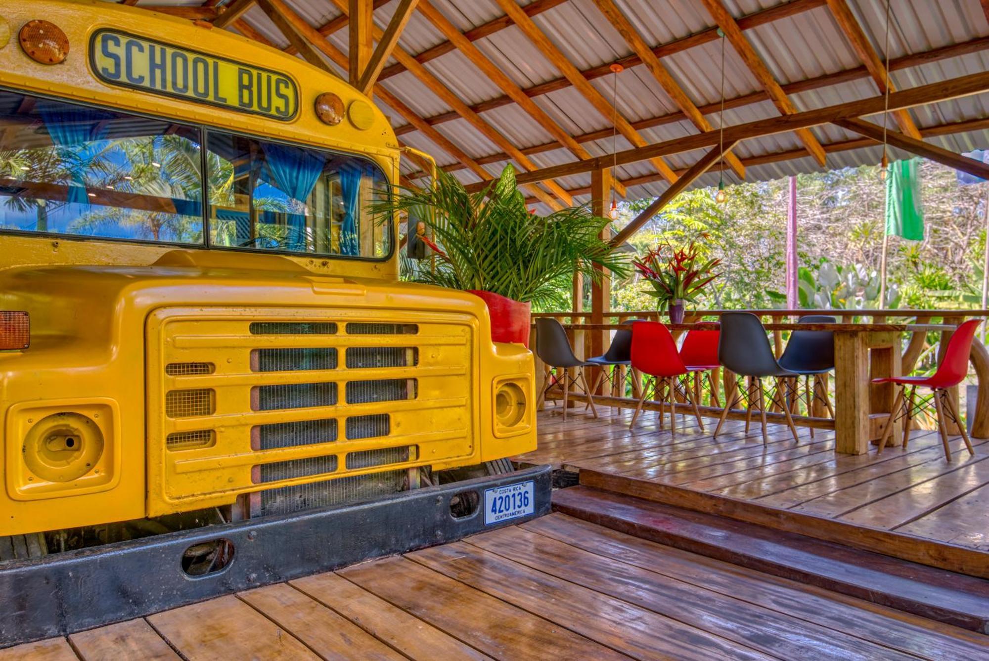 Tree House Beachfront Lodge Puerto Viejo de Talamanca Εξωτερικό φωτογραφία