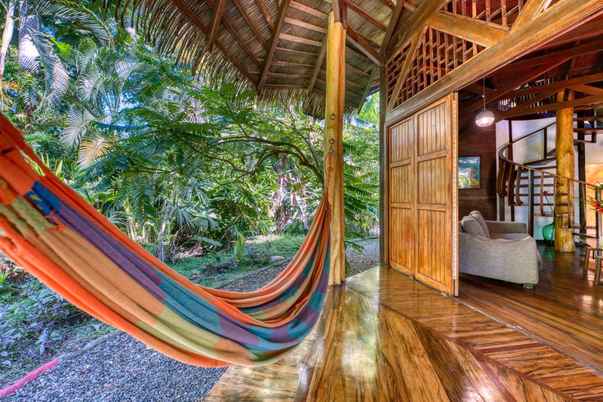 Tree House Beachfront Lodge Puerto Viejo de Talamanca Εξωτερικό φωτογραφία
