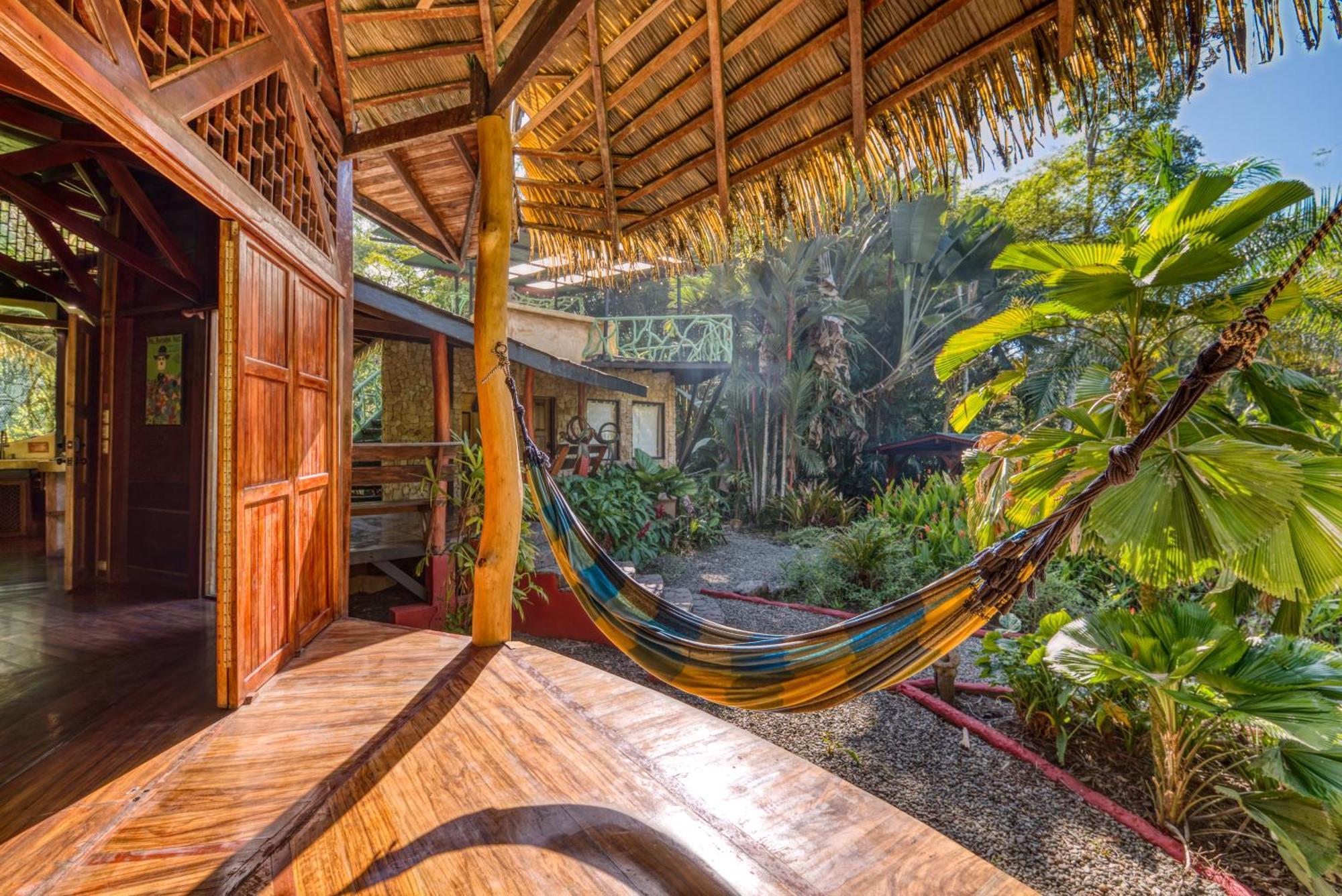 Tree House Beachfront Lodge Puerto Viejo de Talamanca Εξωτερικό φωτογραφία
