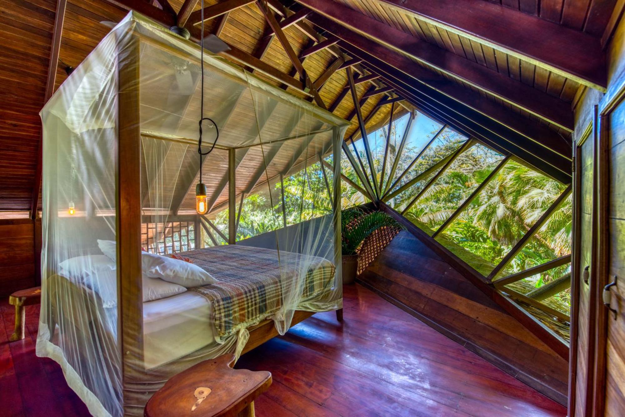 Tree House Beachfront Lodge Puerto Viejo de Talamanca Εξωτερικό φωτογραφία