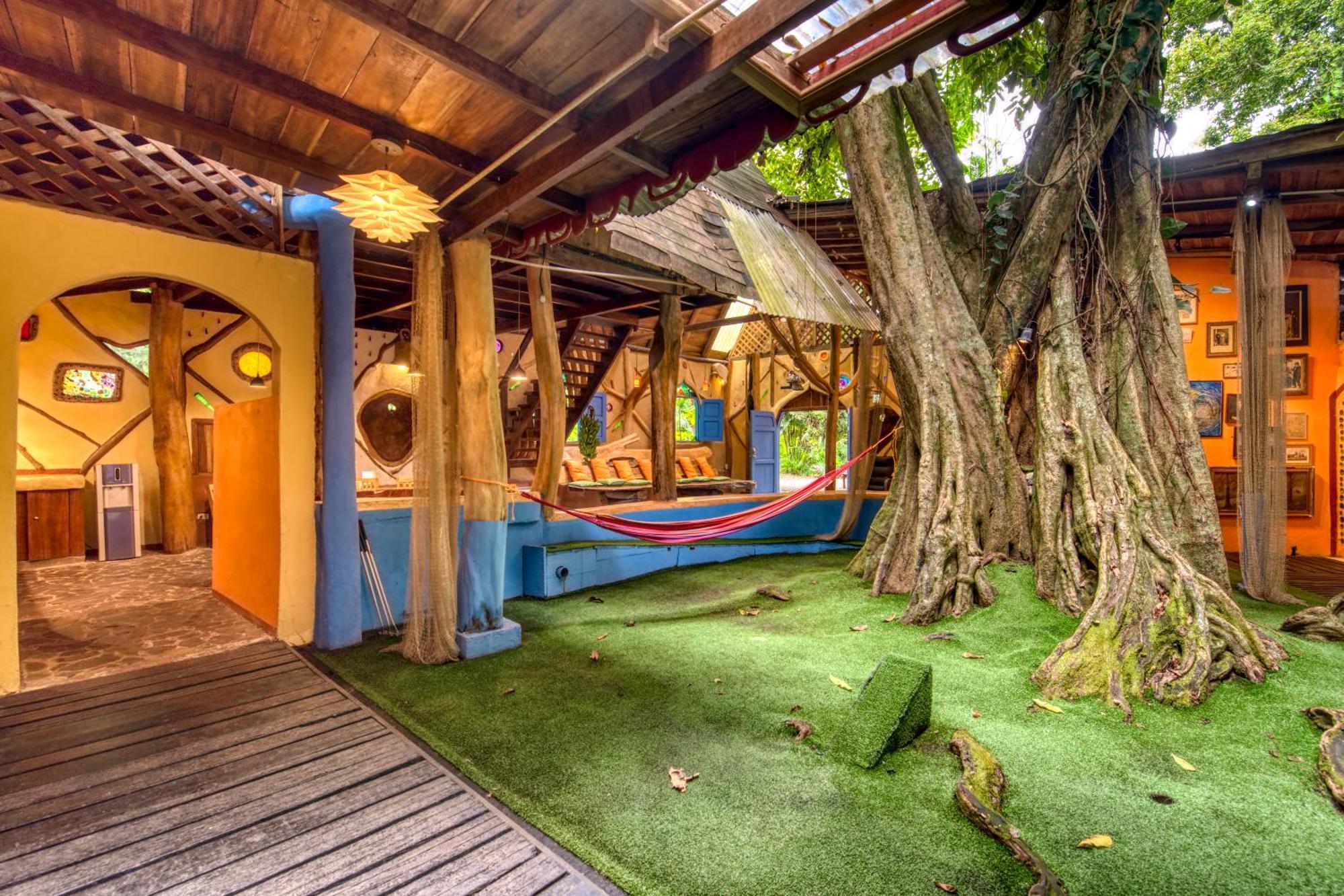 Tree House Beachfront Lodge Puerto Viejo de Talamanca Εξωτερικό φωτογραφία
