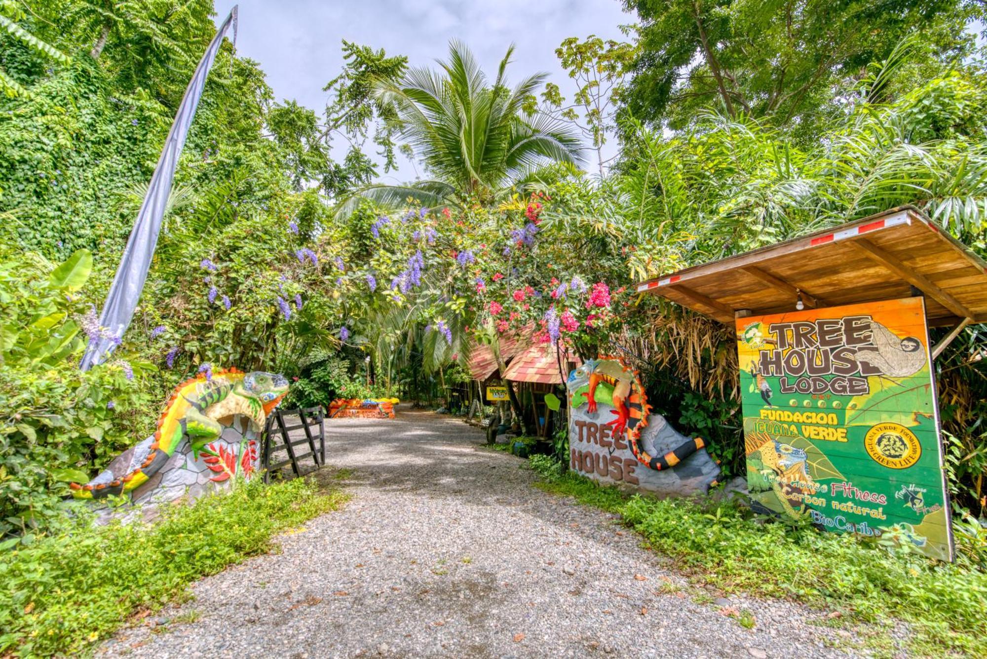 Tree House Beachfront Lodge Puerto Viejo de Talamanca Εξωτερικό φωτογραφία