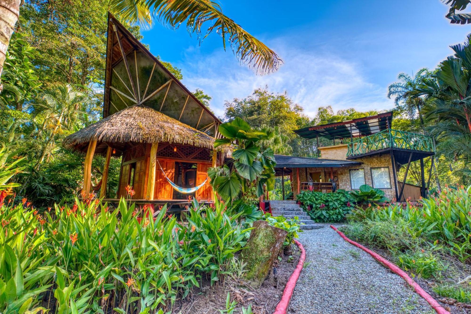Tree House Beachfront Lodge Puerto Viejo de Talamanca Εξωτερικό φωτογραφία
