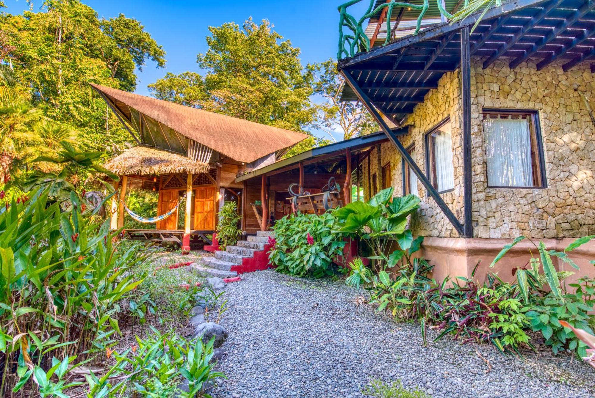 Tree House Beachfront Lodge Puerto Viejo de Talamanca Εξωτερικό φωτογραφία