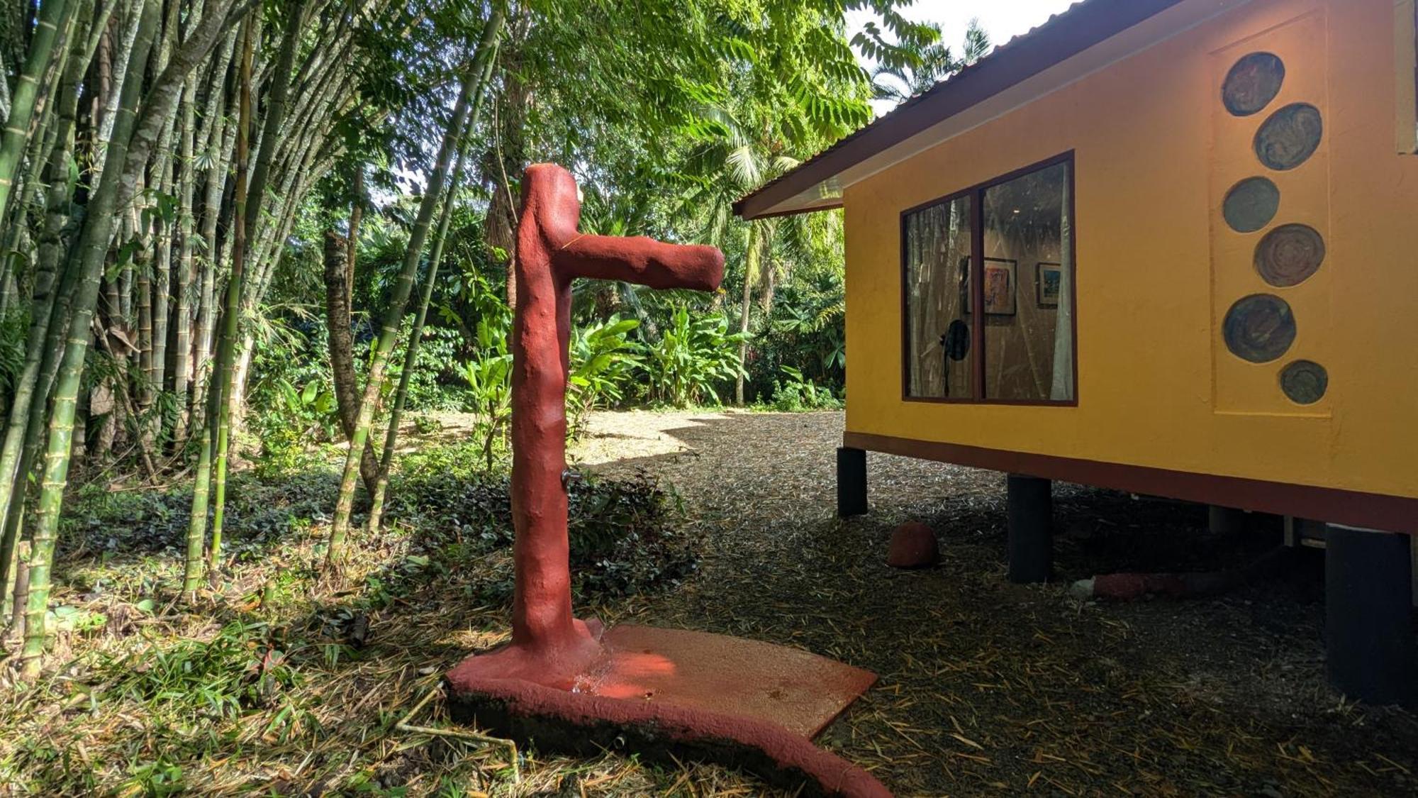 Tree House Beachfront Lodge Puerto Viejo de Talamanca Εξωτερικό φωτογραφία