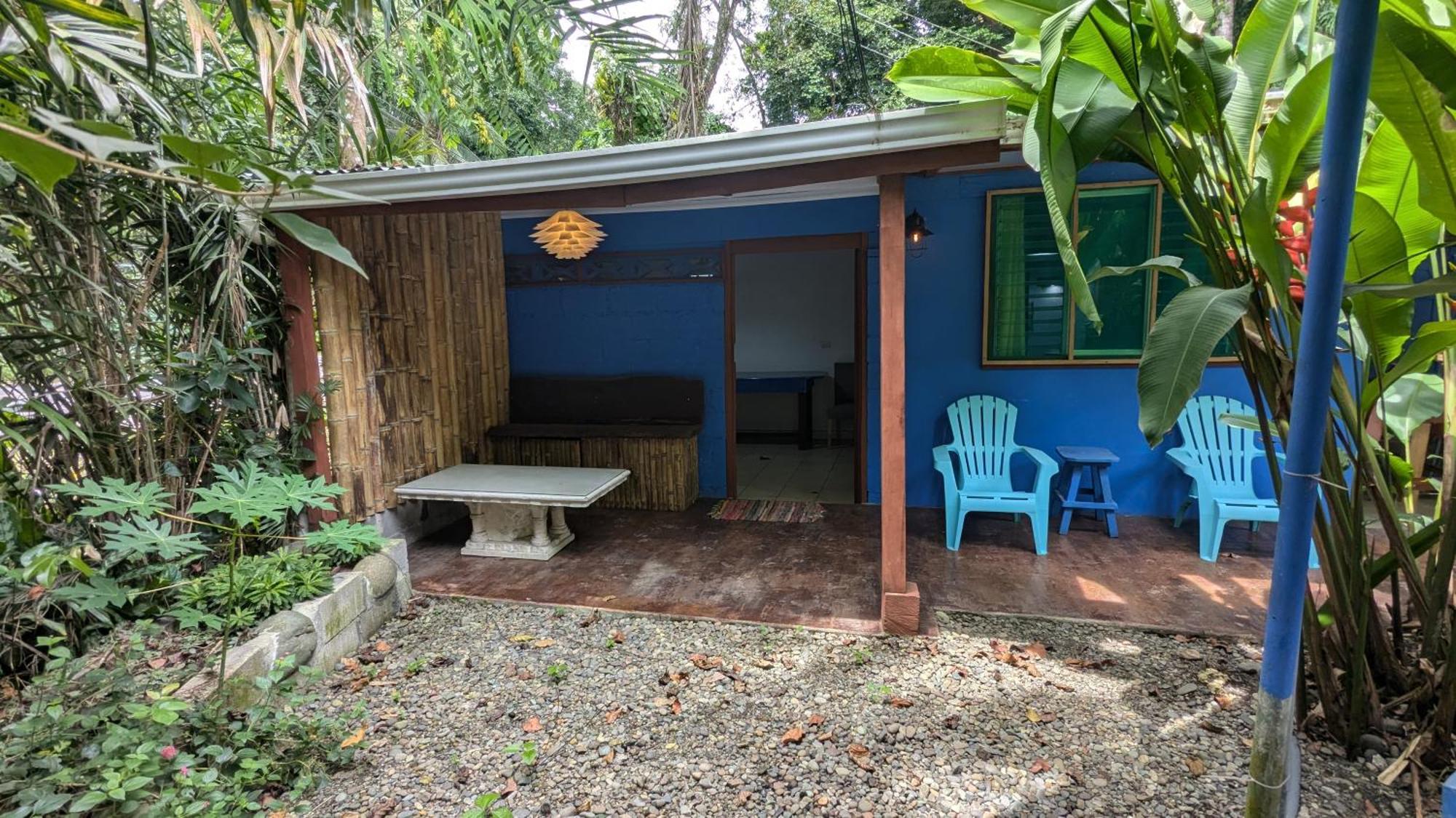 Tree House Beachfront Lodge Puerto Viejo de Talamanca Εξωτερικό φωτογραφία