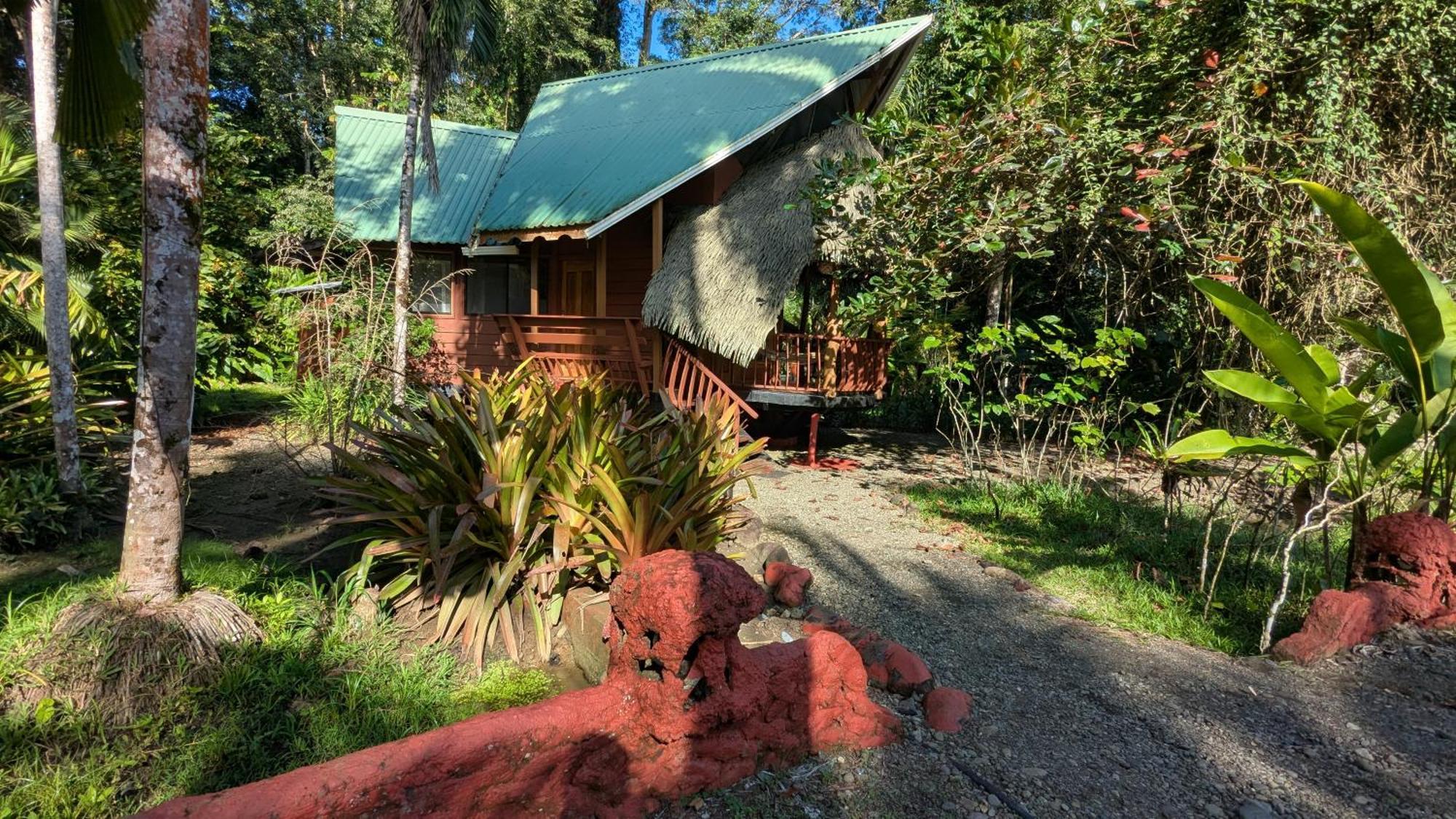 Tree House Beachfront Lodge Puerto Viejo de Talamanca Εξωτερικό φωτογραφία