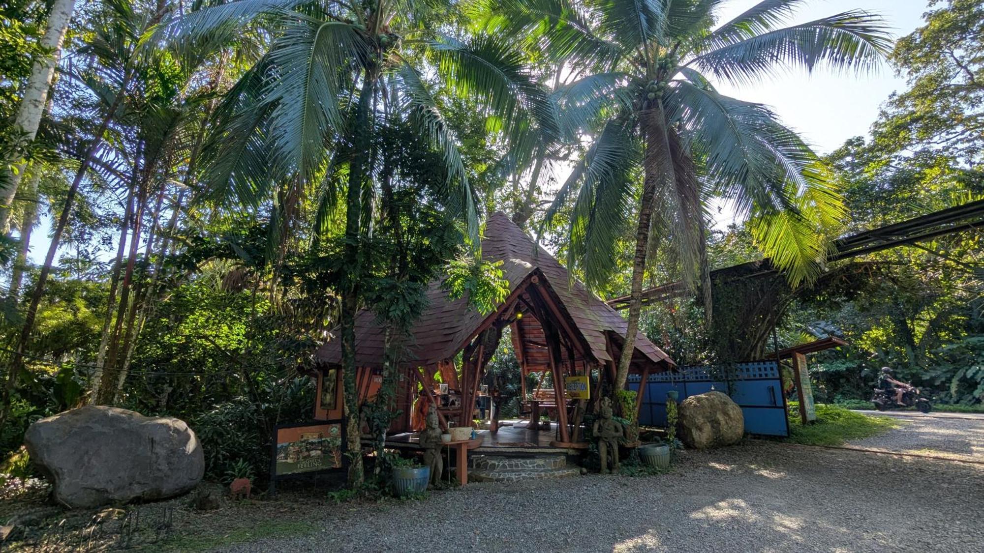 Tree House Beachfront Lodge Puerto Viejo de Talamanca Εξωτερικό φωτογραφία
