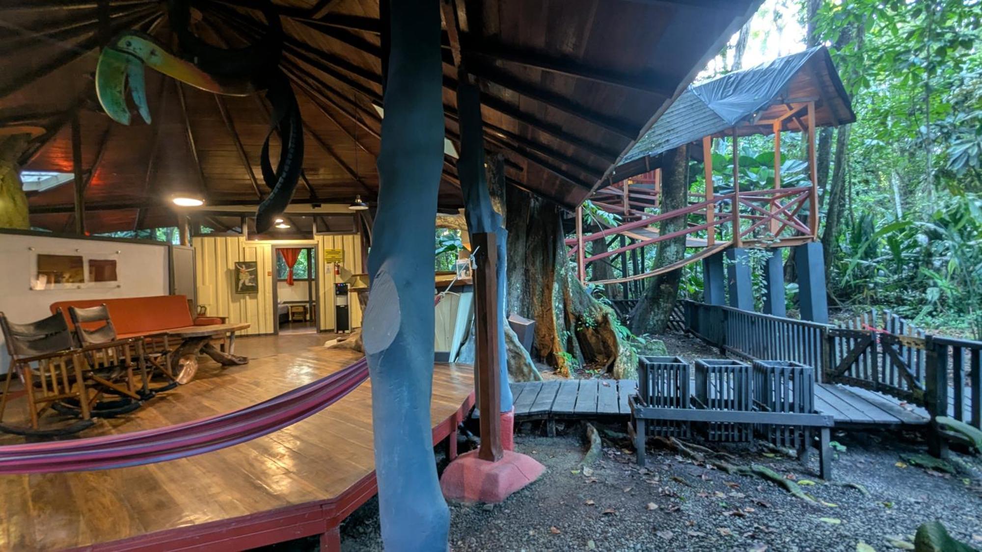 Tree House Beachfront Lodge Puerto Viejo de Talamanca Εξωτερικό φωτογραφία