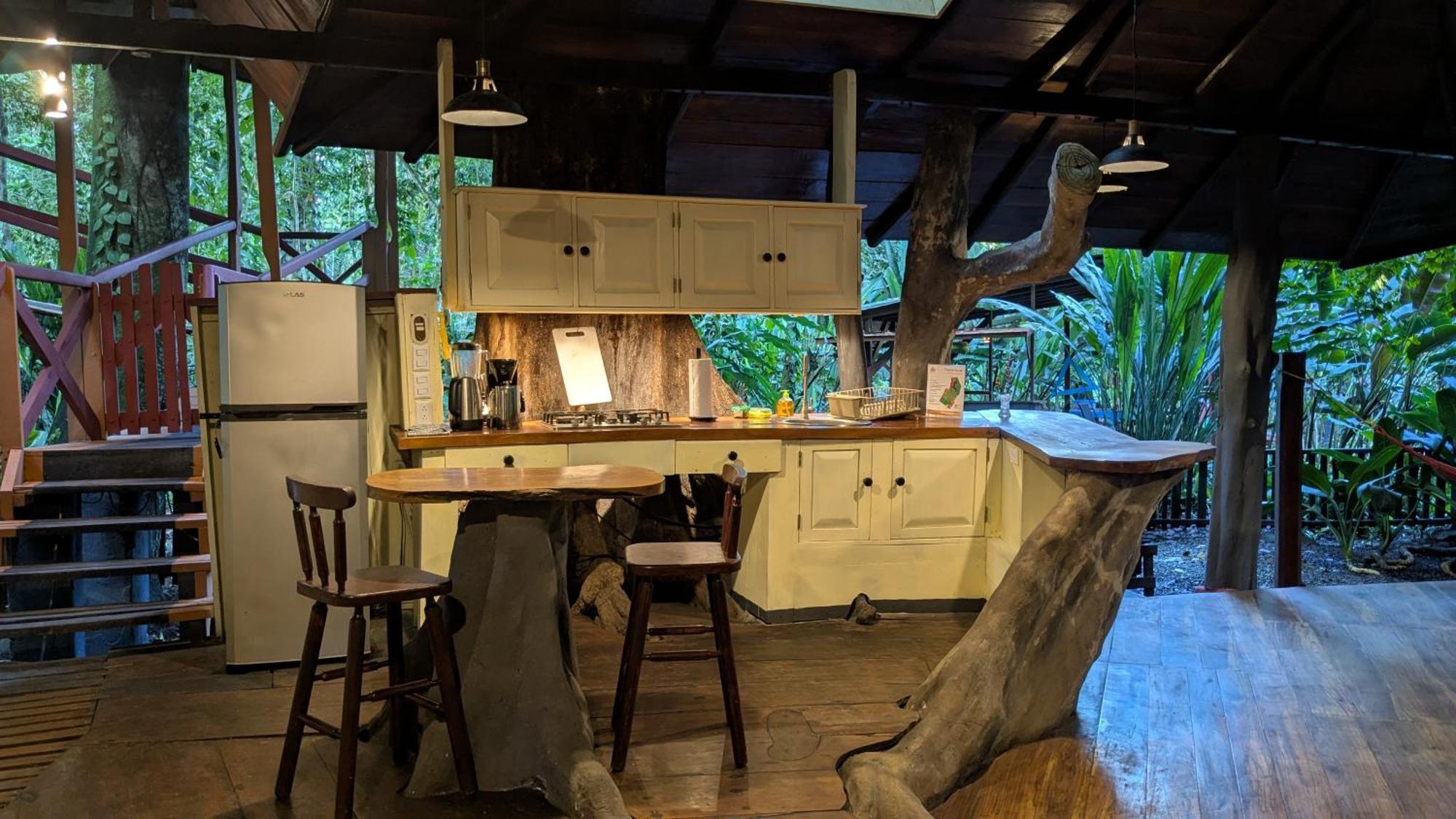 Tree House Beachfront Lodge Puerto Viejo de Talamanca Εξωτερικό φωτογραφία