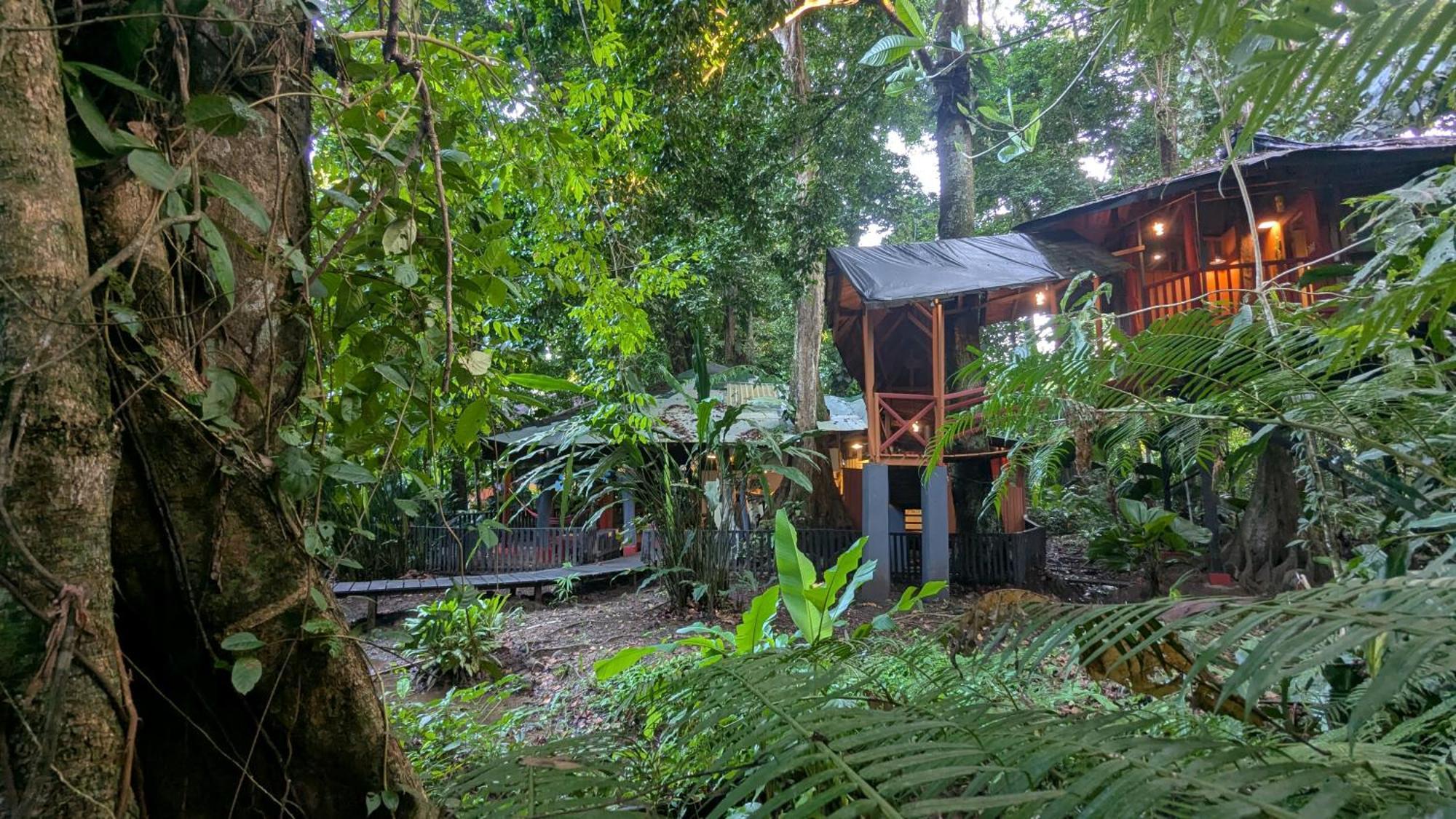 Tree House Beachfront Lodge Puerto Viejo de Talamanca Εξωτερικό φωτογραφία
