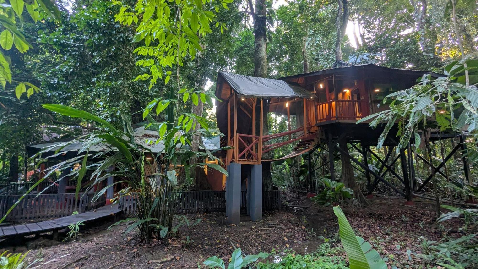 Tree House Beachfront Lodge Puerto Viejo de Talamanca Εξωτερικό φωτογραφία