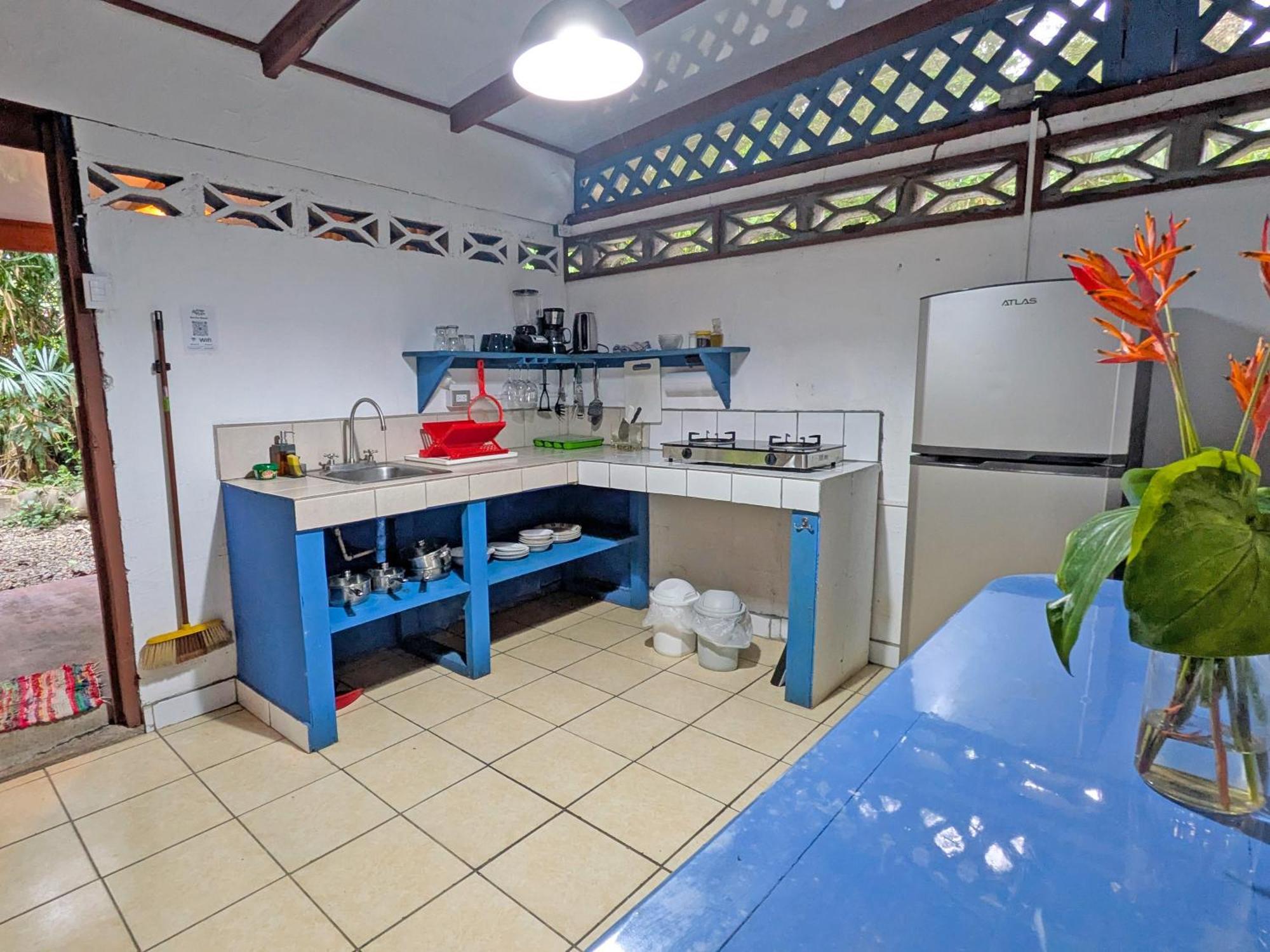 Tree House Beachfront Lodge Puerto Viejo de Talamanca Εξωτερικό φωτογραφία